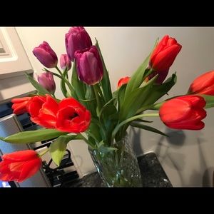 Meet your Posher, Christine